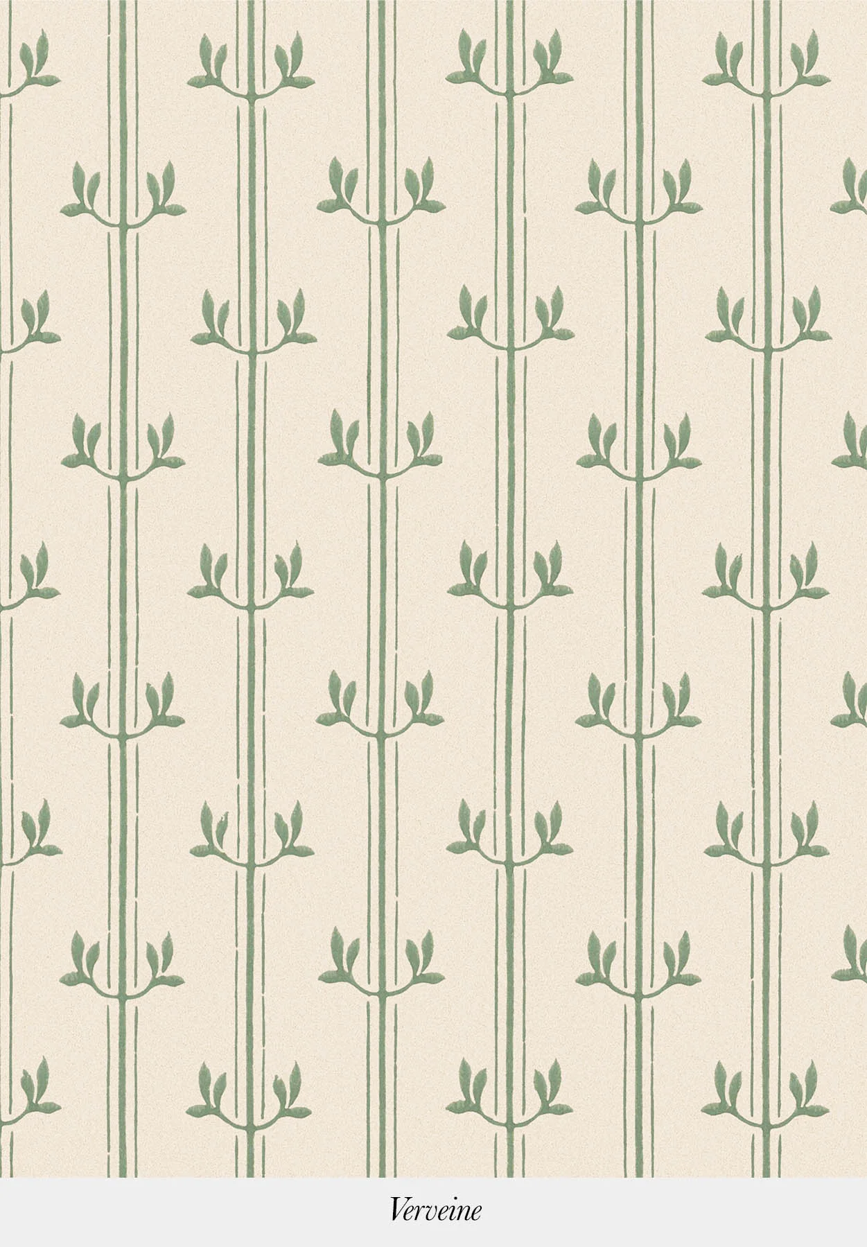 Vénus | Aurèle Stripe - Image 3