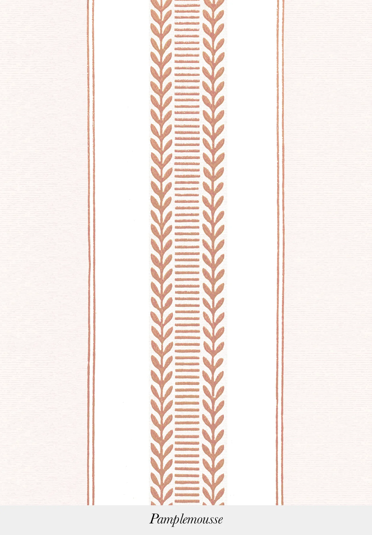 Vénus | Laurier Stripe - Image 3