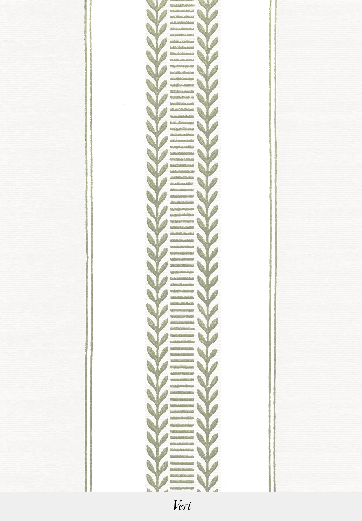 Vénus | Laurier Stripe - Image 4